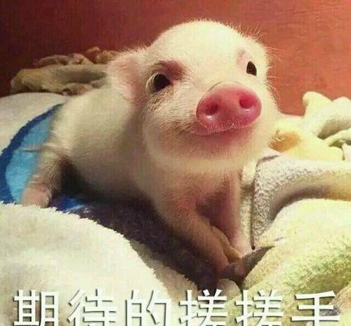 黄晓明、胡一天、关晓彤等新剧全来袭，精彩好剧还看得过来？