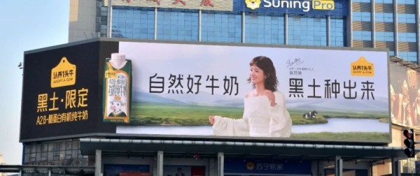 认养一头牛官宣赵丽颖为品牌代言人