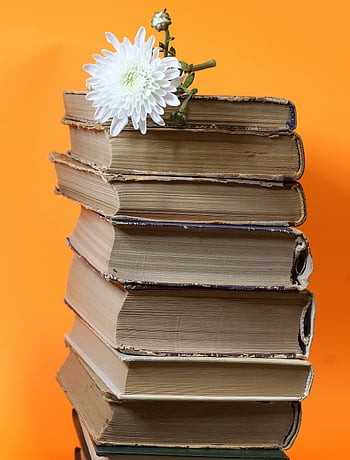 Cdd97dec8d9b57a3f92a38c62e3cdda6