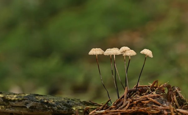 “粉底液将军”被群嘲，影视圈的风向该变了