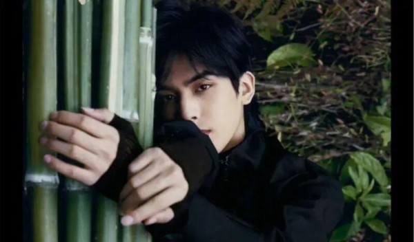 多位明星新动向：从《护心》到刘亦菲的最新计划