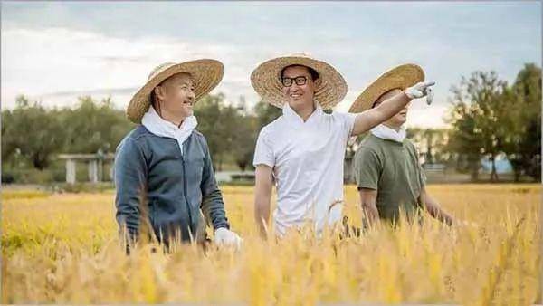 “尔康”种的大米，竟然卖到128块一斤？