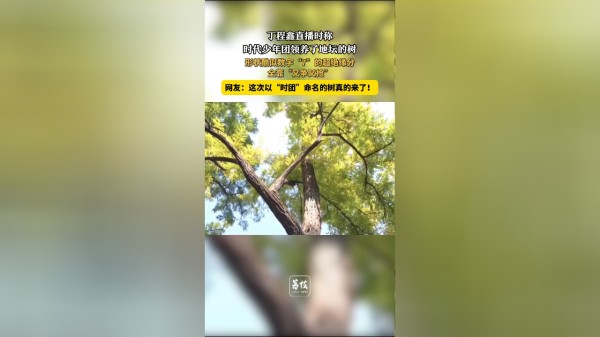 Thumbplayer Poster Plugin Image