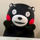 老鼠爱吃老鼠药