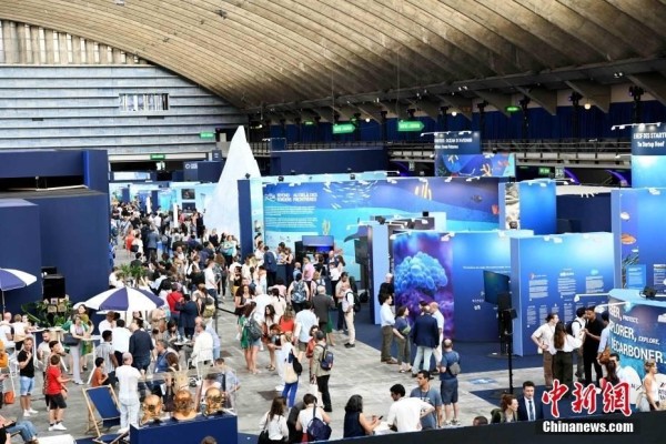 郭晶晶成波司登ESG大使！奥运冠军如何用影响力改写商业责任？