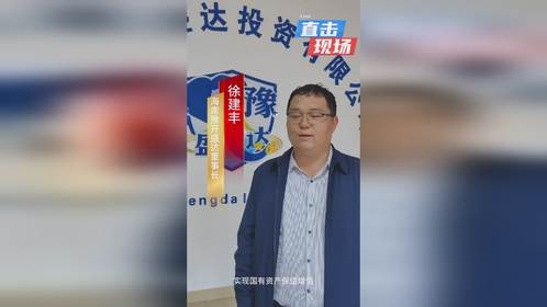 海南豫开盛达投资有限公司