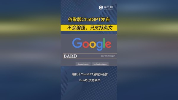 谷歌版ChatGPT发布，不会编程，只支持英文