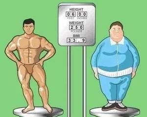 明星训练营减肥哪家好