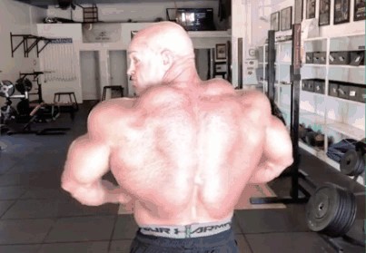 感受一下安德森背部肌肉展示动态图：