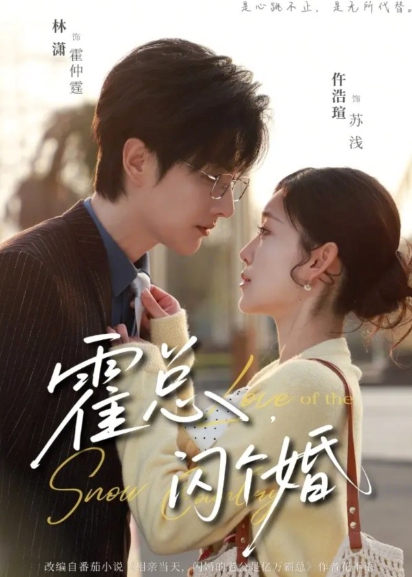 霍总闪个婚-现代甜蜜