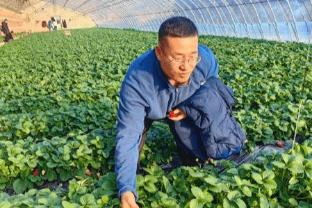 驻村书记直播带货，点燃乡村振兴“新引擎”