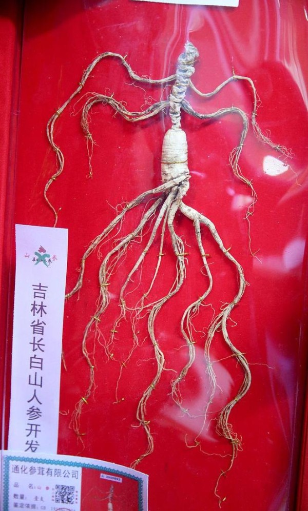 雪场变秀场:明星带货如何引爆吉林土特产经济