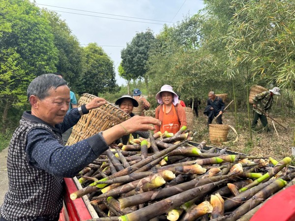 邓超突袭助农：明星带货是真心实意还是高光作秀？