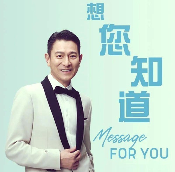 刘德华的商业魅力与投资策略全景解析