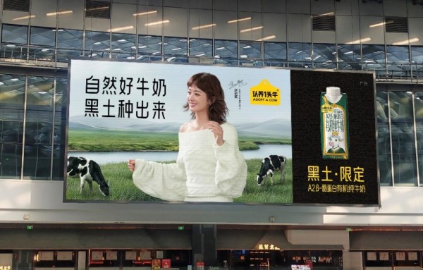 认养一头牛官宣赵丽颖为品牌代言人，共赴长期主义之路