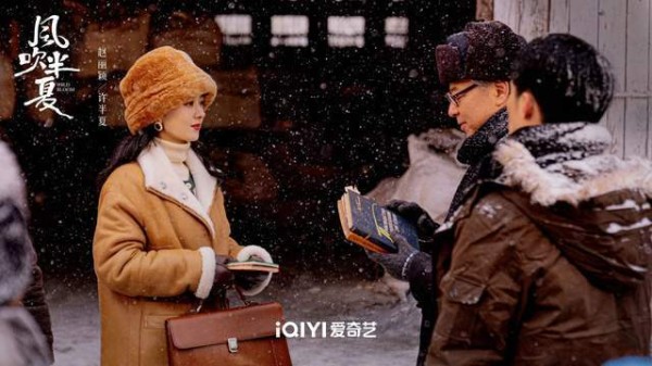 收视率女王赵丽颖新剧《风吹半夏》再创辉煌，为何难以进入电影圈