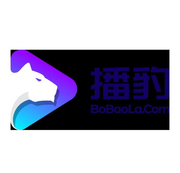 向太直播首秀:从数据到影响力的成功之路