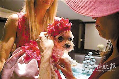 温迪·戴蒙德（右）与爱犬“幸运”