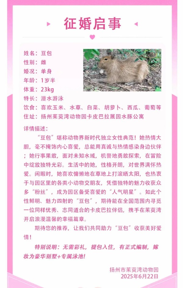 女明星“豆包”征婚：无需彩礼，有正式编制，嫁妆豪华别墅＋专属泳池！