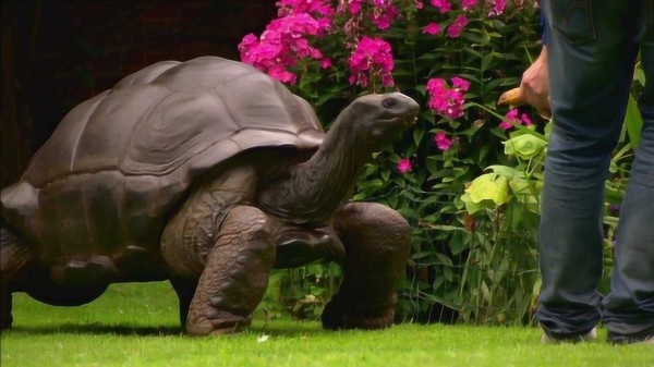 Thumbplayer Poster Plugin Image