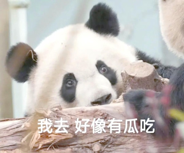 明星艺人的幕后故事：探索他们的发展与挑战