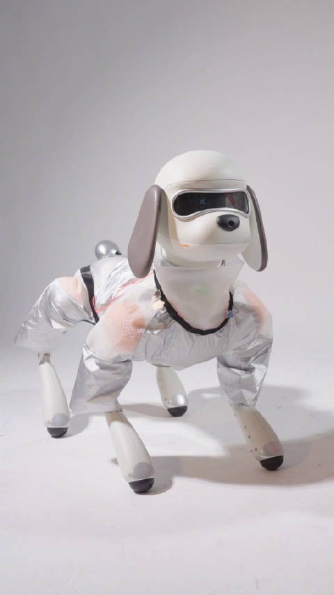 巨星狗首次公开亮相巨星传奇与宇树科技共同打造巨星狗