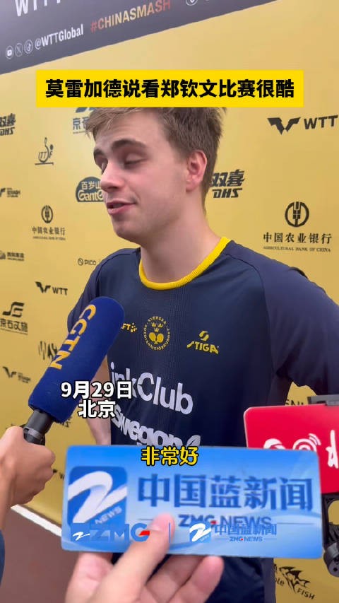 莫雷加德夸郑钦文是大明星