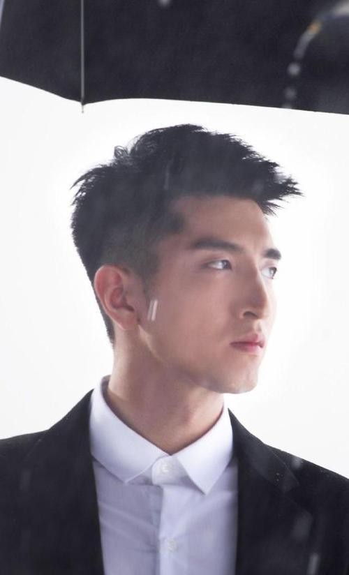 男明星有哪些,男明星是指那些在娱乐圈中备受瞩目的男性艺人