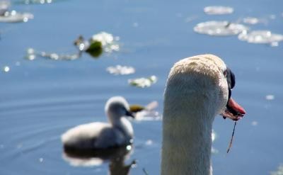 韩愈的这句话强调了勤奋和思考的重要性。只...