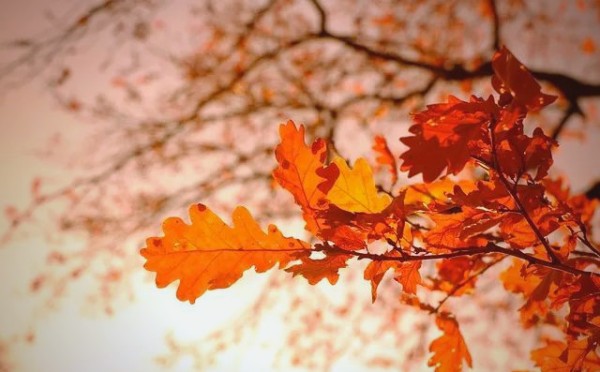 关于言行的名人名言警句精选集