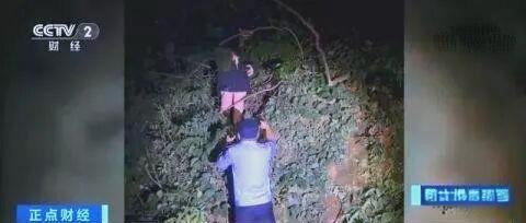 明星代拍产业链：风险与影响揭秘