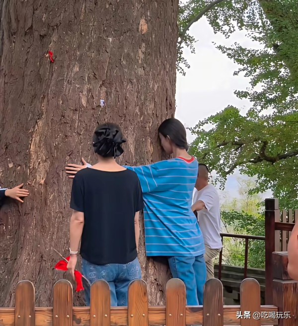 吃喝玩乐：大孤山凭啥拿捏半个娱乐圈？明星扎堆祈福的秘密太好嗑！
 
家人们谁懂啊！辽宁丹东大孤山这波“明星团建”火得离谱，金晨、娜扎素颜扎堆来，郭京飞、罗晋反复打卡，连陈凯歌一家都来沾灵气，这小山到底藏着啥神仙魔力？
 
说它是“内娱许愿天花板”真不夸张！首先得拜那棵1300岁的银杏神树，唐玄宗年间栽下的“老寿星”，4个成年人都抱不住，传说是杨贵妃东渡前亲手植下的，摸一摸能沾福气，绕三圈能求顺遂，...