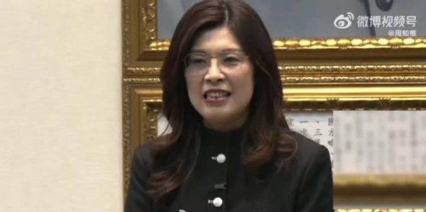 郑丽文返台后穿大陆定制中山装亮相郑丽文感谢大陆