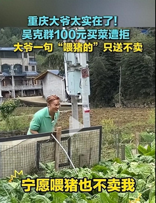 明星吴克群100元想买大爷手里的菜 连遭拒绝：拿去喂猪也不卖给你