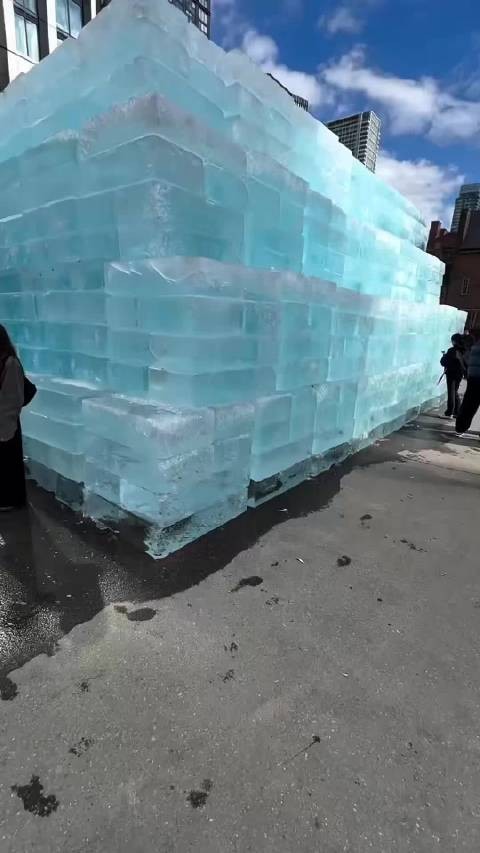 ice man 救救猛龙