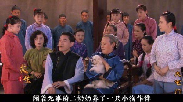 《大宅门》花五百两银子买一个抱狗的丫头，到底值不值？