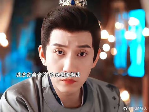 我拿你当老婆你竟想剖了我这对吗御赐小仵作2王子