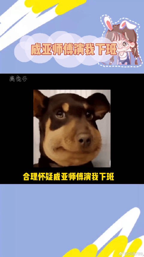 刘学义 还不如带我去爬山呢！微博VC计划微博VC计划