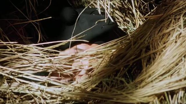 第一次跟周星驰拍电影，就创造了令人难忘的经典！