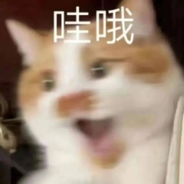 梁朝伟担任上影节评委会主席；诺兰《记忆碎片》内地定档