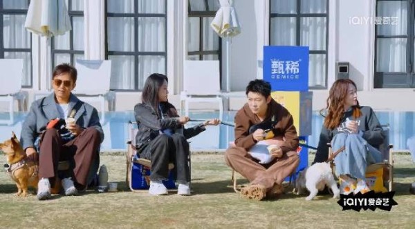 这癖好也太真实了，只有资深铲屎官才懂