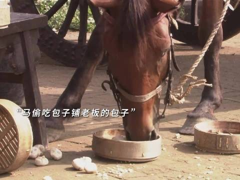 重温经典剧集大宅门引观众共鸣