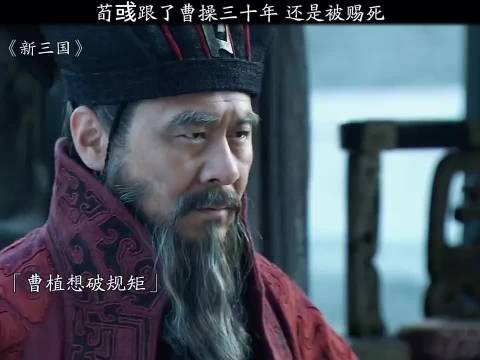 这剧拍的也太好了
