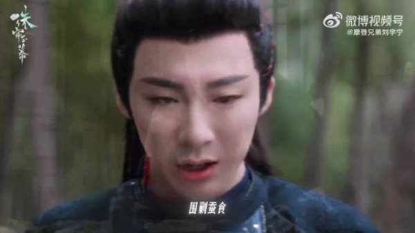 2024.11.29 刘宇宁 | 珠帘玉幕 | 燕子京 | 收官 收官作文