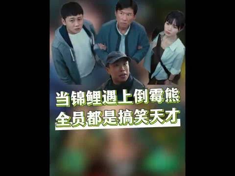 低智商犯罪:当好运锦鲤碰上倒霉本熊，奇葩组合太有梗了 田曦薇 王骁