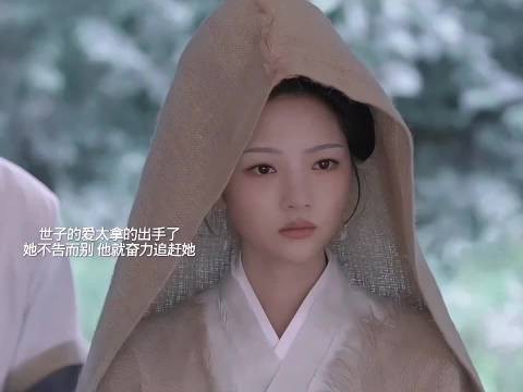 董思成任敏新剧良陈美锦演绎猫咪牵绊