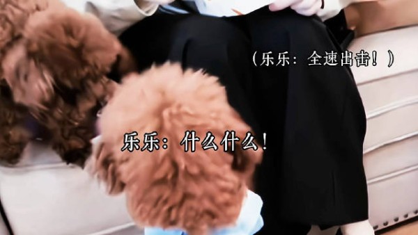 吃东西不好玩~不吃~ 乐乐：我！我要吃！给我吃吧！