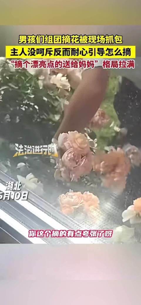 男孩组团摘花被花主抓包