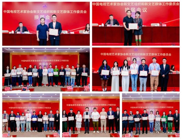 林永健当选中国视协双新委员会会长，杨幂、佟丽娅、马苏 、宋佳、梅婷、李乃文等当选副会长