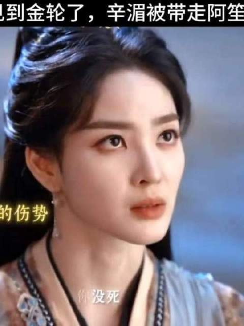 阿笙目光触及金轮，波澜不惊